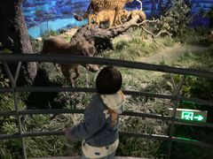 -国家自然博物馆