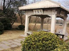-渤公岛生态公园