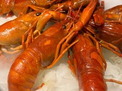 -红盔甲·小龙虾(车公庙店)