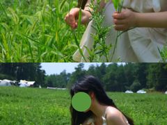 -武陵山森林公园
