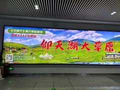-高子烧鸡公(五里堆路店)