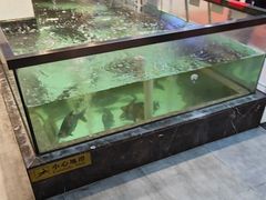 -鱼痴渔醉·食鲜集(月亮湾店)