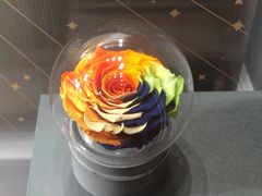 -ROSEONLY诺誓(广州K11店)