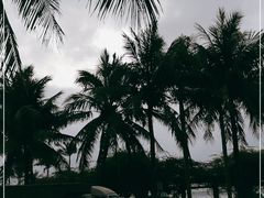 -霞山观海长廊