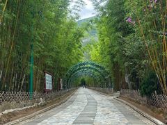 -蝴蝶泉公园