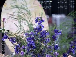 -无锡君来洲际酒店·宴会厅