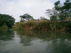 -梁鸿国家湿地公园