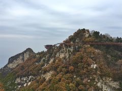 -少华山国家森林公园