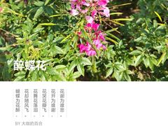 -石家庄市植物园