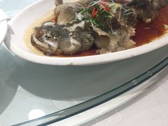 -金太仓宾馆