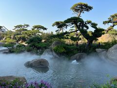 -罗红摄影艺术馆