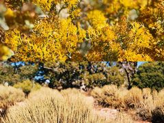 -科罗拉多大峡谷