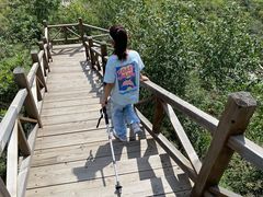 -大岭沟猕猴桃谷风景区