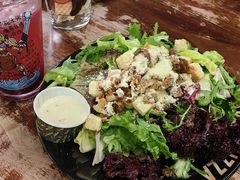 -Tubestation站点比萨(五道营店)