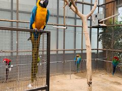 -南宫五洲植物乐园