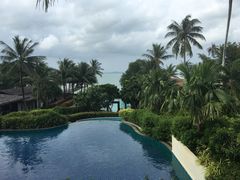 -椰树岛海滩度假村