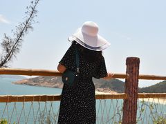 -广东惠东海龟国家级自然保护区
