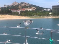 -海驴岛(荣成市)