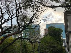-九龙公园