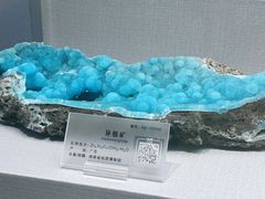 -湖南省地质博物馆