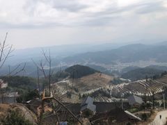 -紫鹊界梯田景区