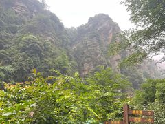 -庐山碧龙潭风景区