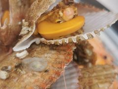 -四海鲜渔家菜(黄金海岸店)