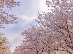 -上海辰山植物园