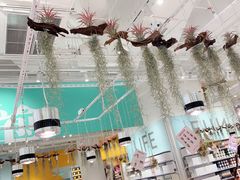 -KKV(深圳宏发大仟里店)