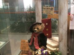 -济州岛泰迪熊博物馆