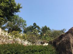 -鸿山公园
