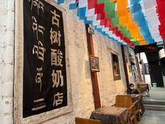 -古树酸奶(八廓南街店)