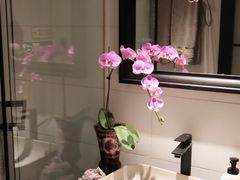 -Angkor SPA 柬埔寨古法按摩(环贸店)