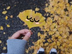 -辽东学院(南校区)