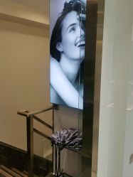 -YESIDO椰岛美容