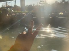 -南宫温泉水世界