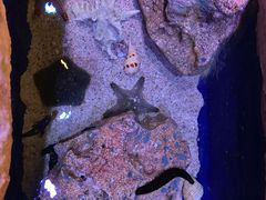 -暹罗海洋世界