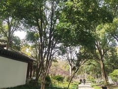 -秋霞圃