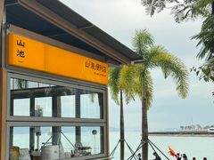 -SAANCI山池咖啡(海上世界文化艺术中心店)