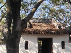 -上海佘山国家森林公园天马山园