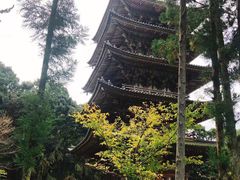 -醍醐寺