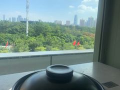 -百年果林椰子鸡(中洲店)