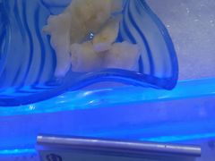 -澜悦港海鲜体验主题餐厅