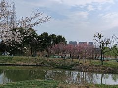 -长田漾湿地公园