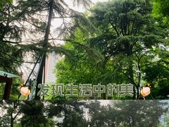 -静安公园(静安寺街道)