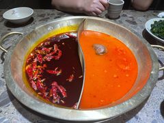 番茄鸳鸯-小龙坎火锅(总店)