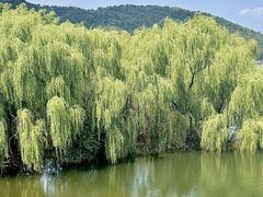 -燕北云山·农家菜·灶台鱼(密云溪翁庄店)