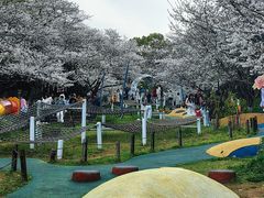 -杭州少年儿童公园