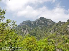-王顺山国家森林公园