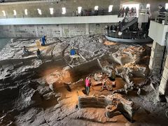 -自贡恐龙博物馆